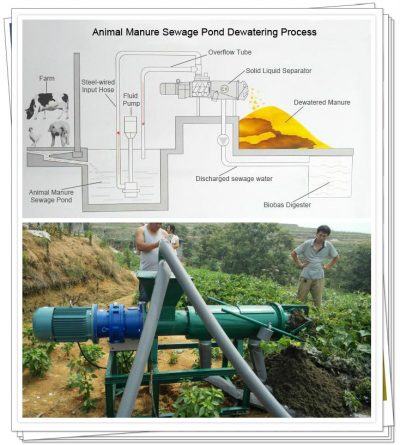 manure dewatering process